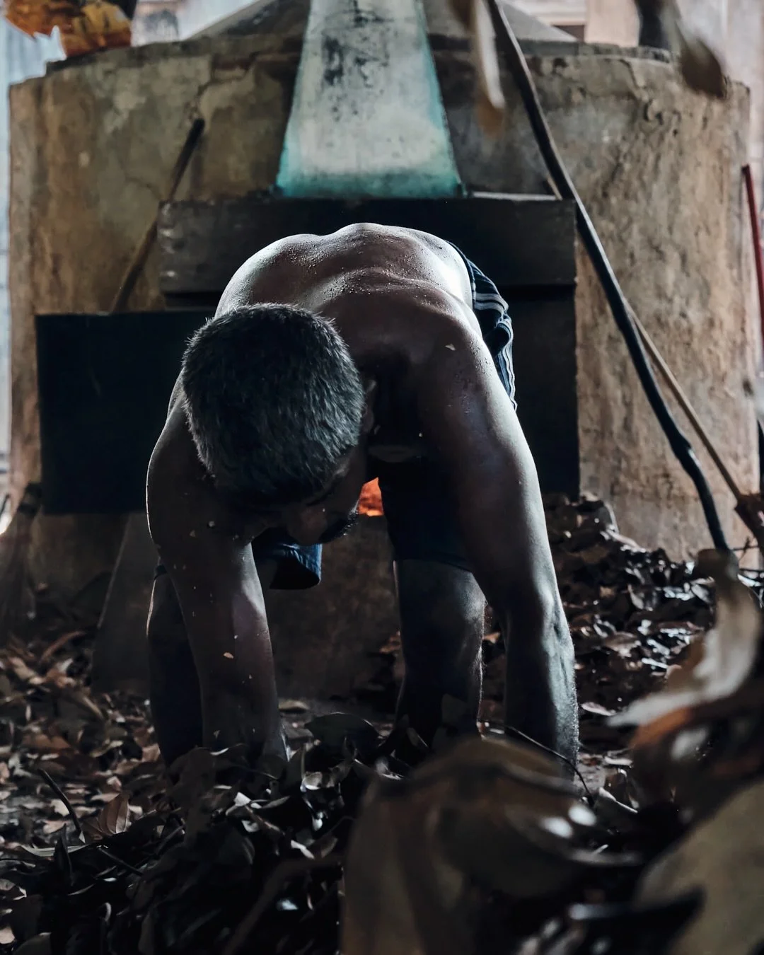 Hands weathered by heat, air thick with spice, and the rhythm of labour rising with the smoke, the making of cinnamon oil is a ritual of patience and devotion.

In Sri Lanka, cinnamon leaves are gathered, carried, and fed into fire-warmed vessels, th