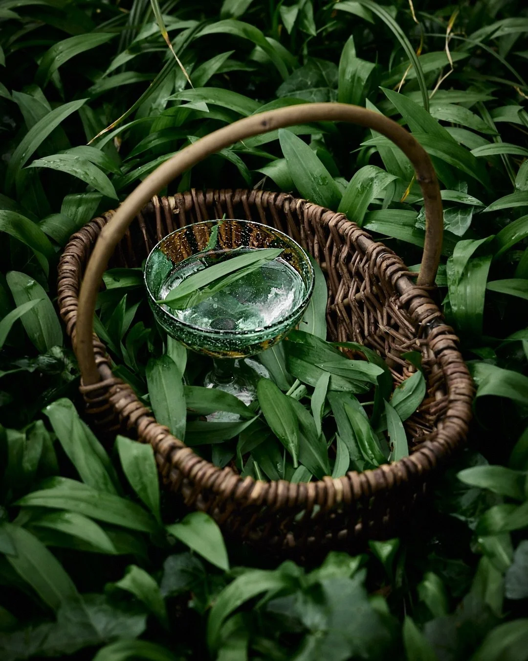 Wild garlic season feels like spring at its most enchanting, where every woodland walk offers up glossy green leaves, starry white flowers, and tender little buds ready to be transformed into wild capers. It is a season of fragrance, abundance, and q