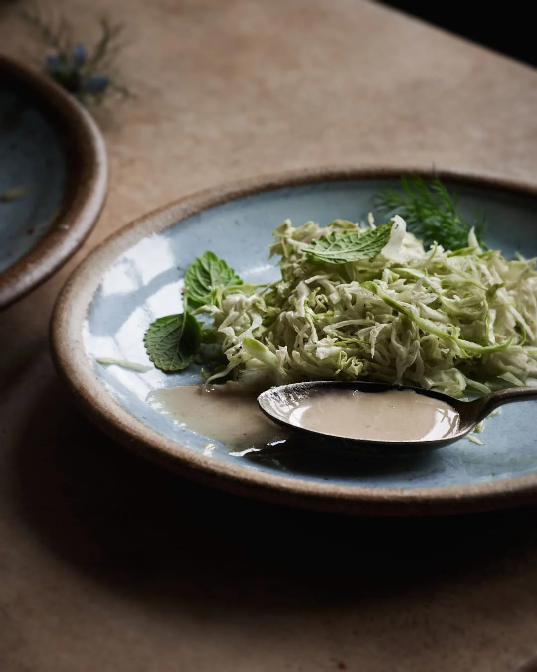 angled image of spoon on plate of pickled cabbage wth tahini drizzle in stunning light