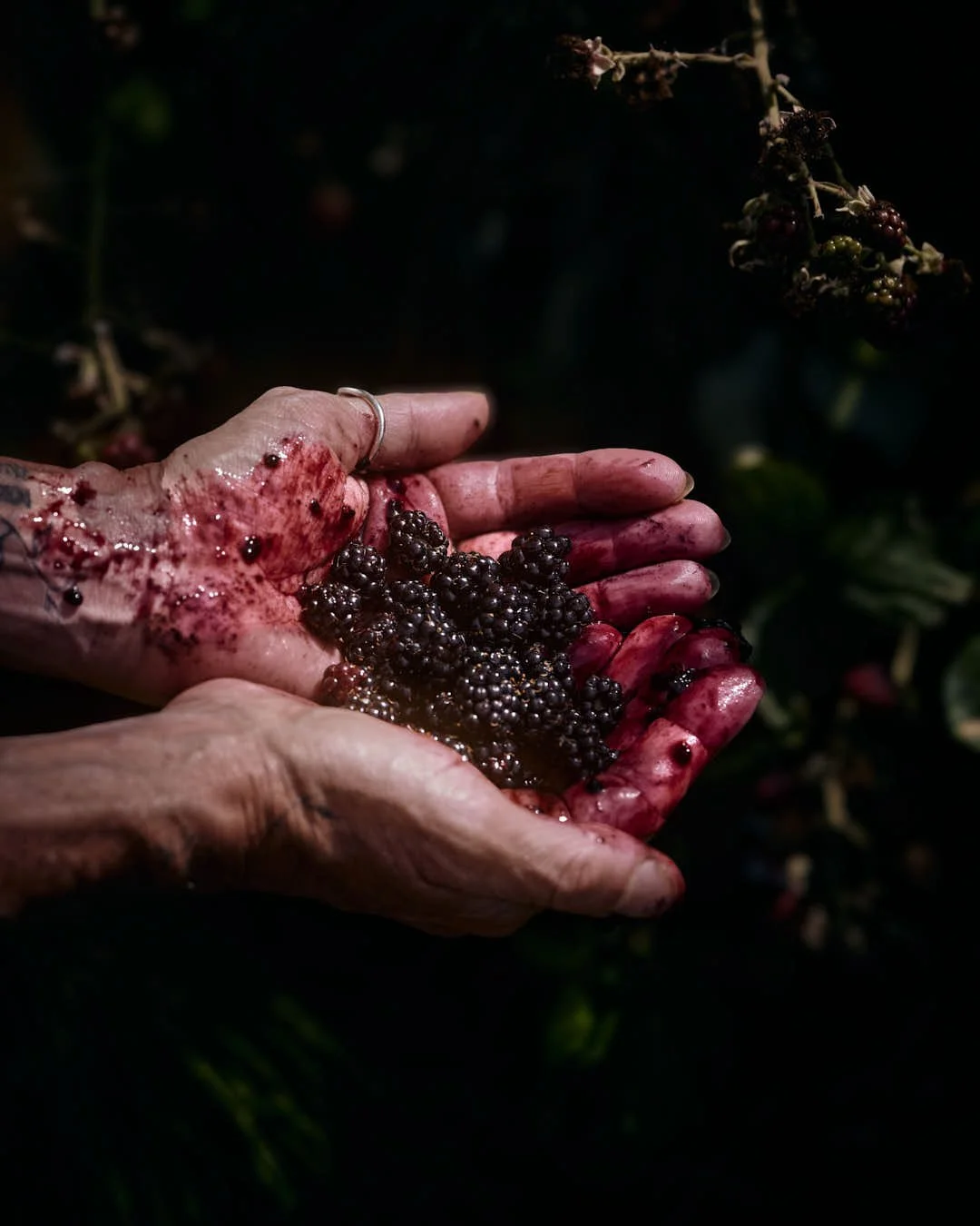 macro image of stained hands with berries
