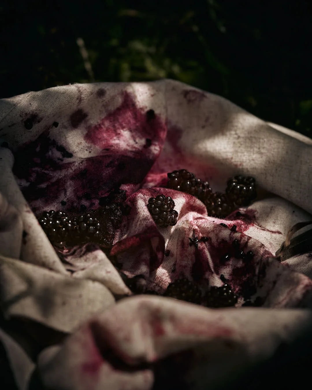 macro image of berries in stained linen in bramble bush