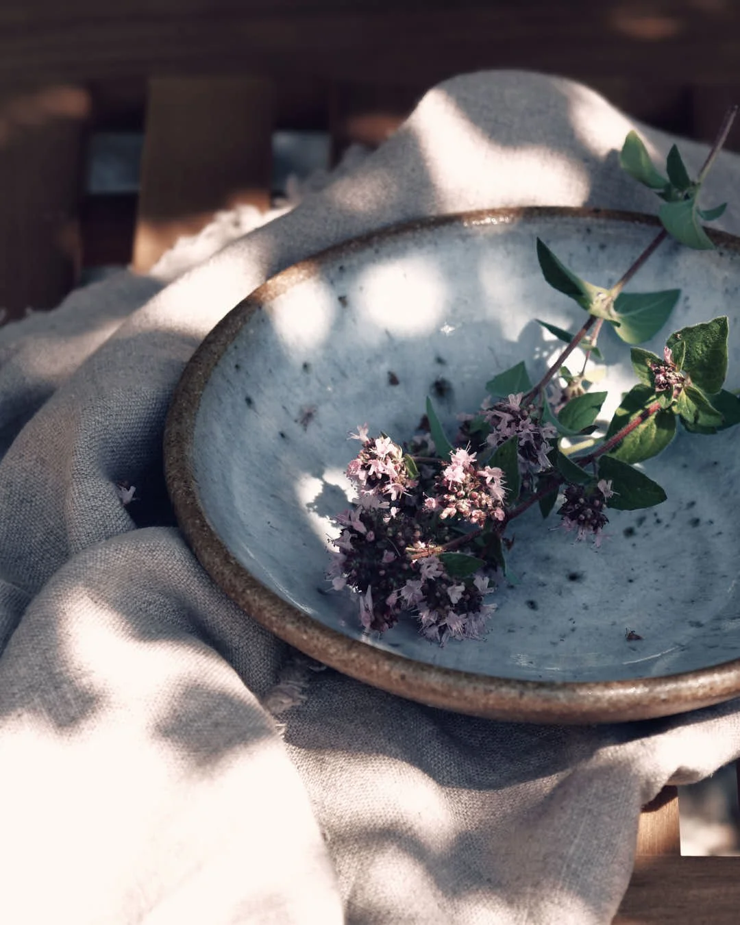 marjoram in bowl on dappled summer light