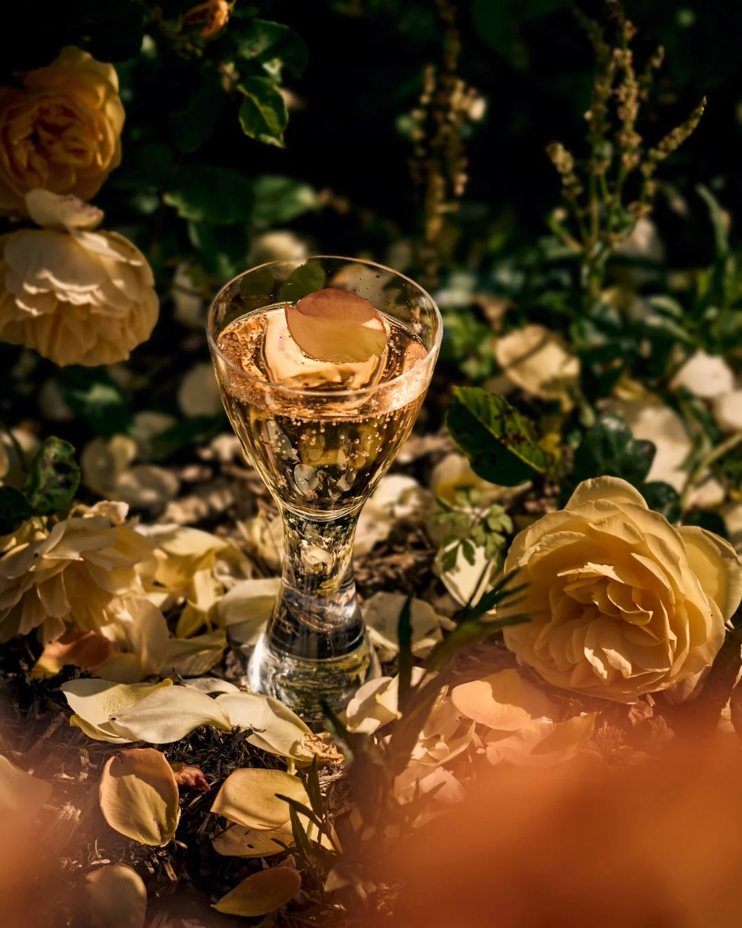 Loveland Farm  13IG Post - GourmetglowSuze Morrison Gourmetglow 2.JPG