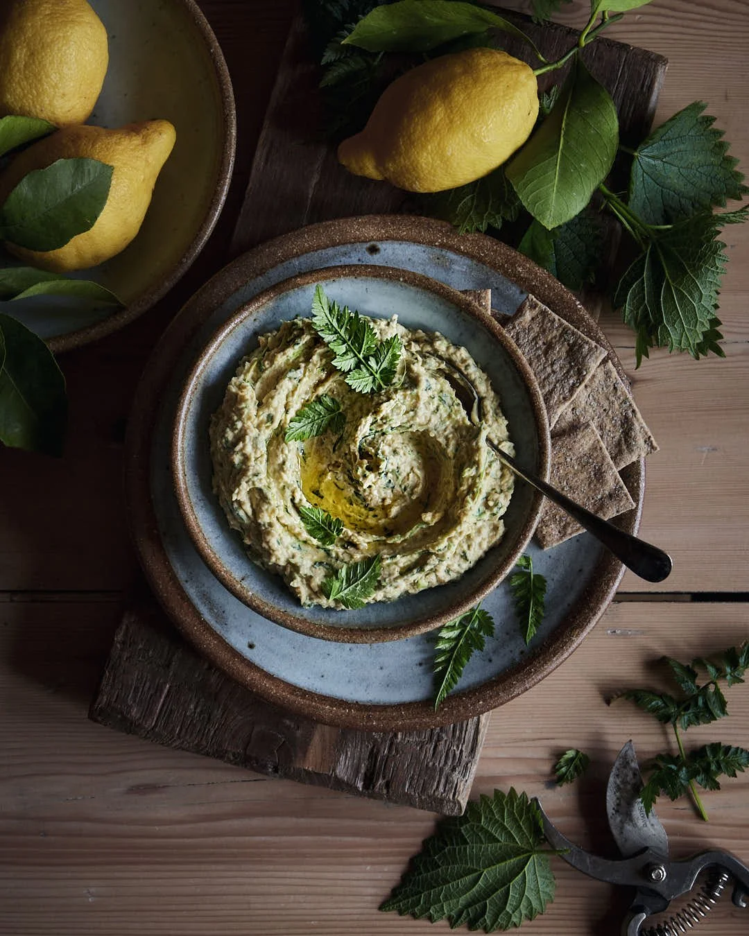 flatlay image of hummus in bowl with lemons and nettles surrounding in rustic moody lit scene