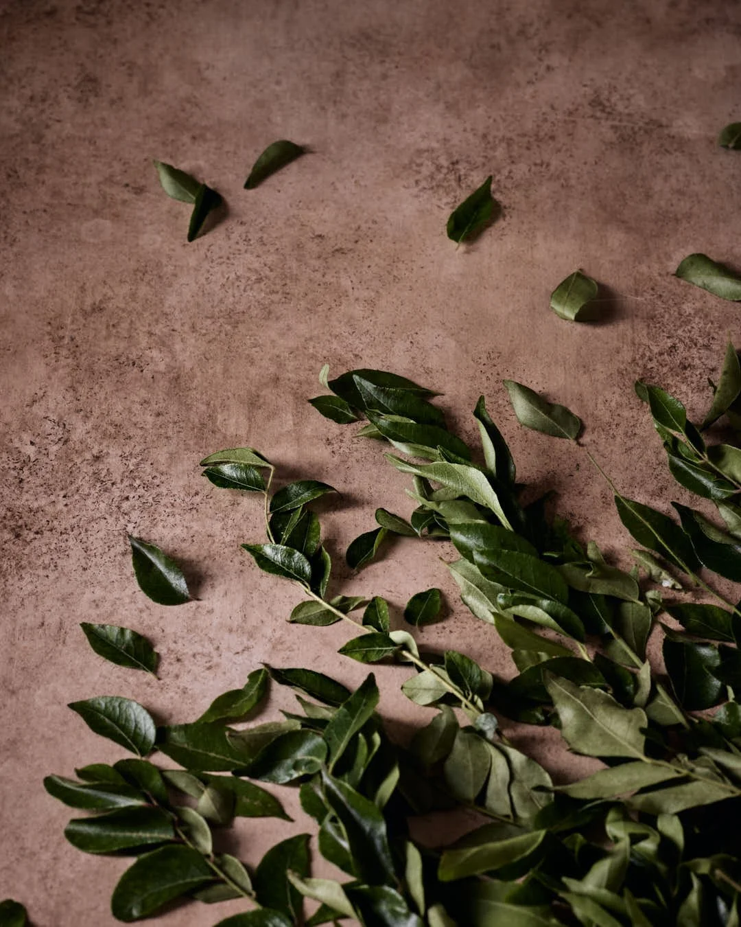 latlay image of curry leaves atop mottled red brown background