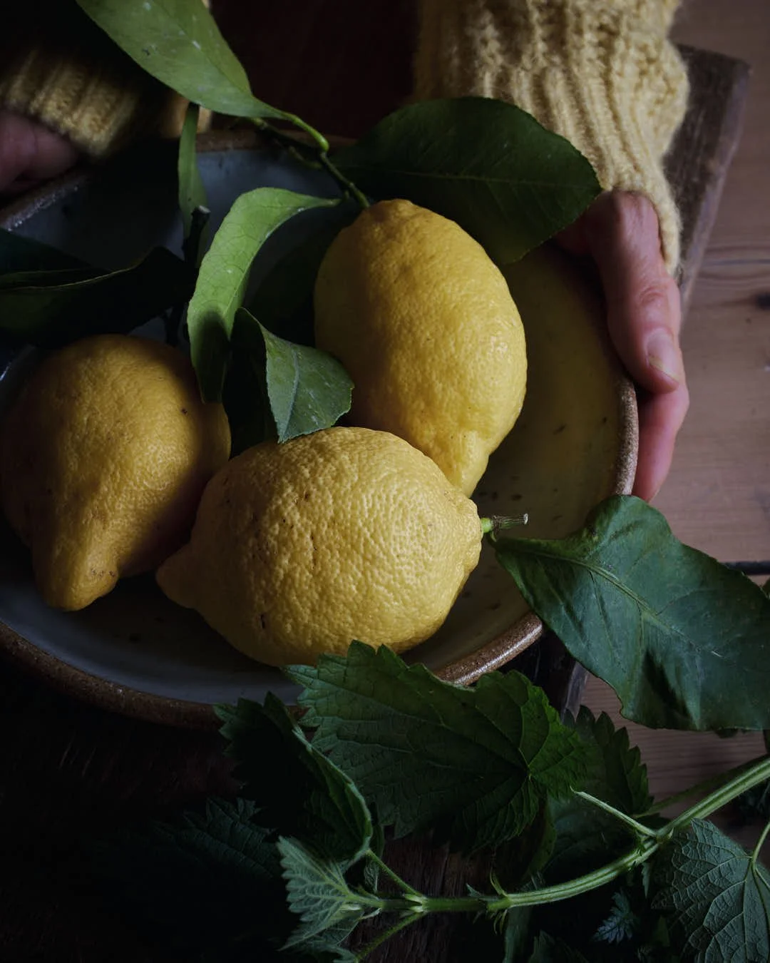 angled image of girls hands in yellow sweater reaching for bowl of lemons with leaves in moody lit scene