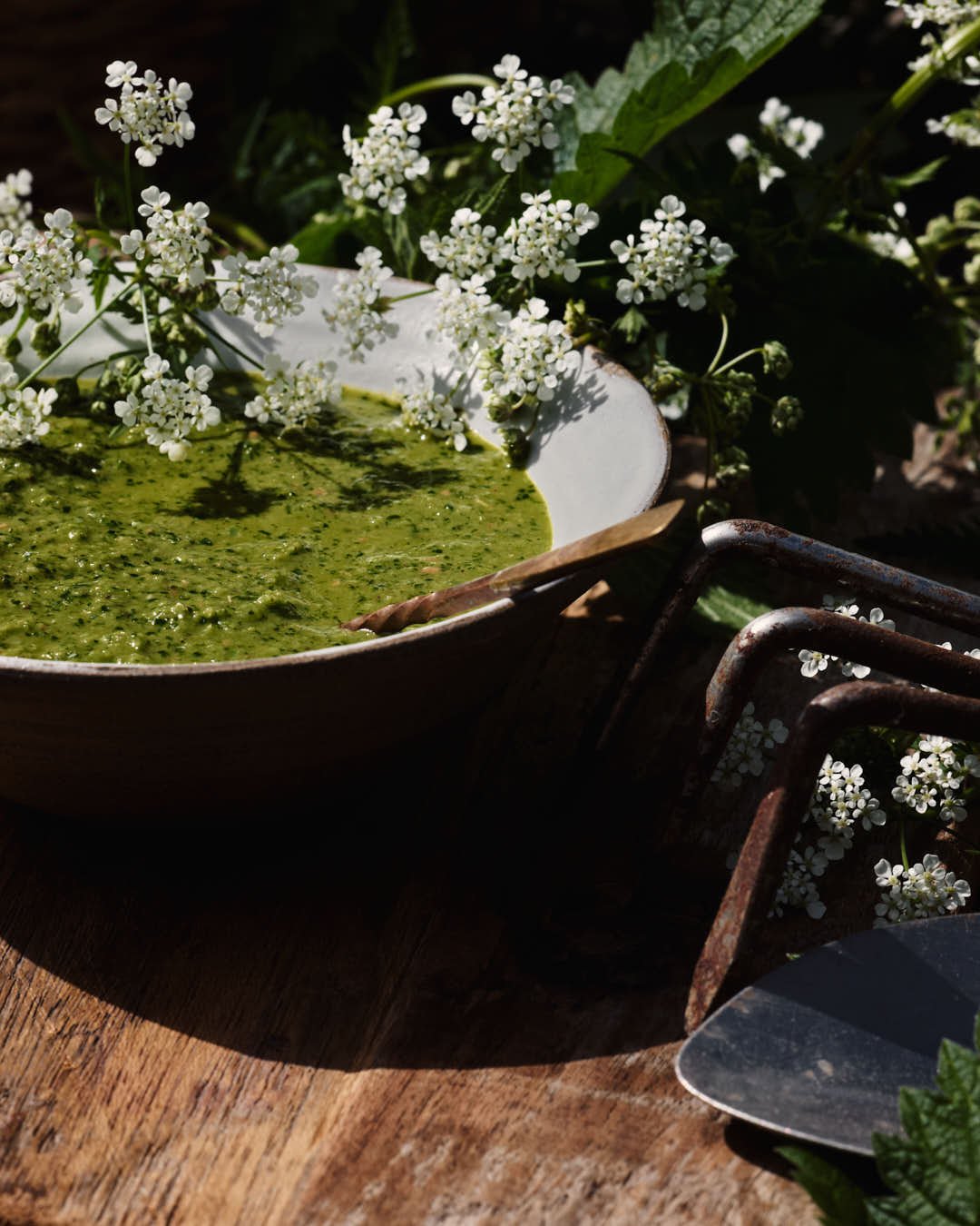 macro image of nettle sauce with cows parsley flowers
