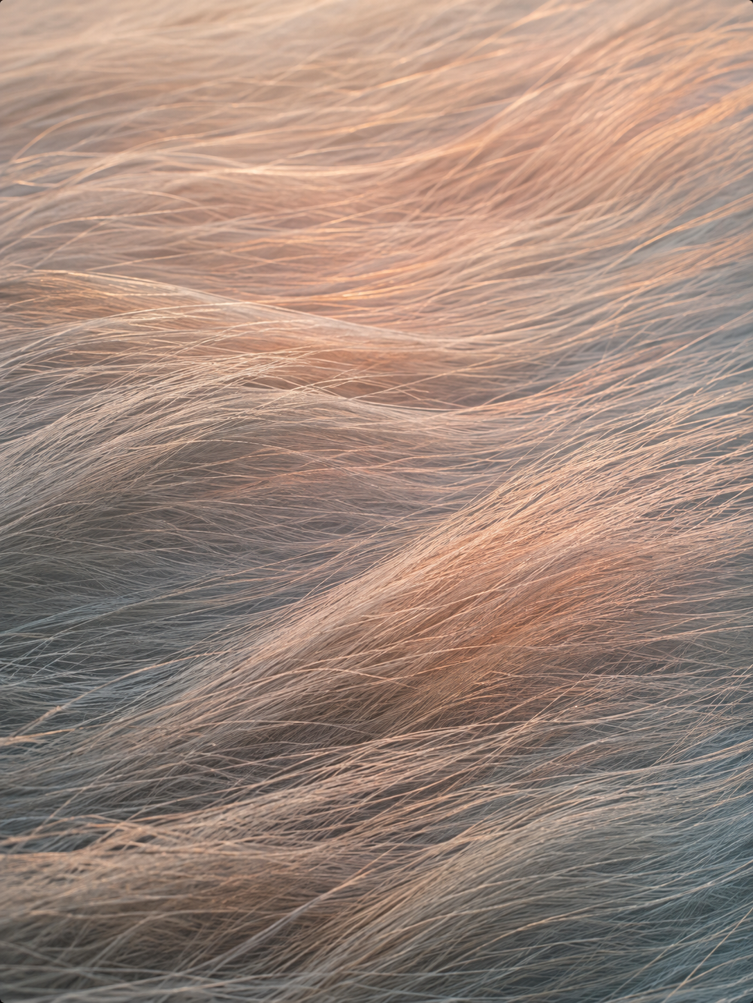 Soft &amp; Gentle-                    ein Raum für das, was da ist