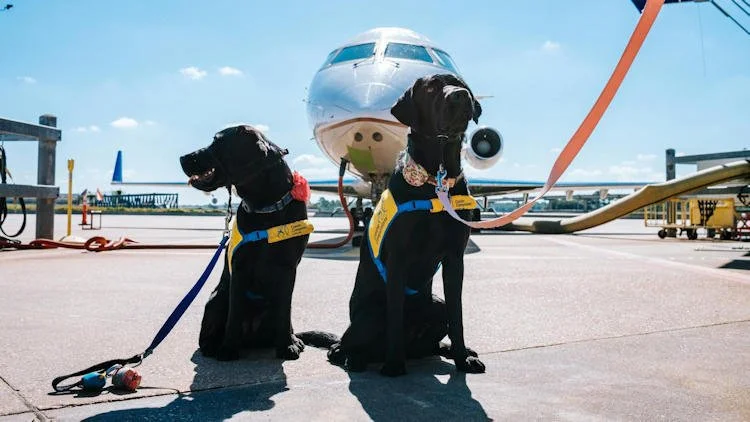 Is Luxury Travel Really Built For Humans?