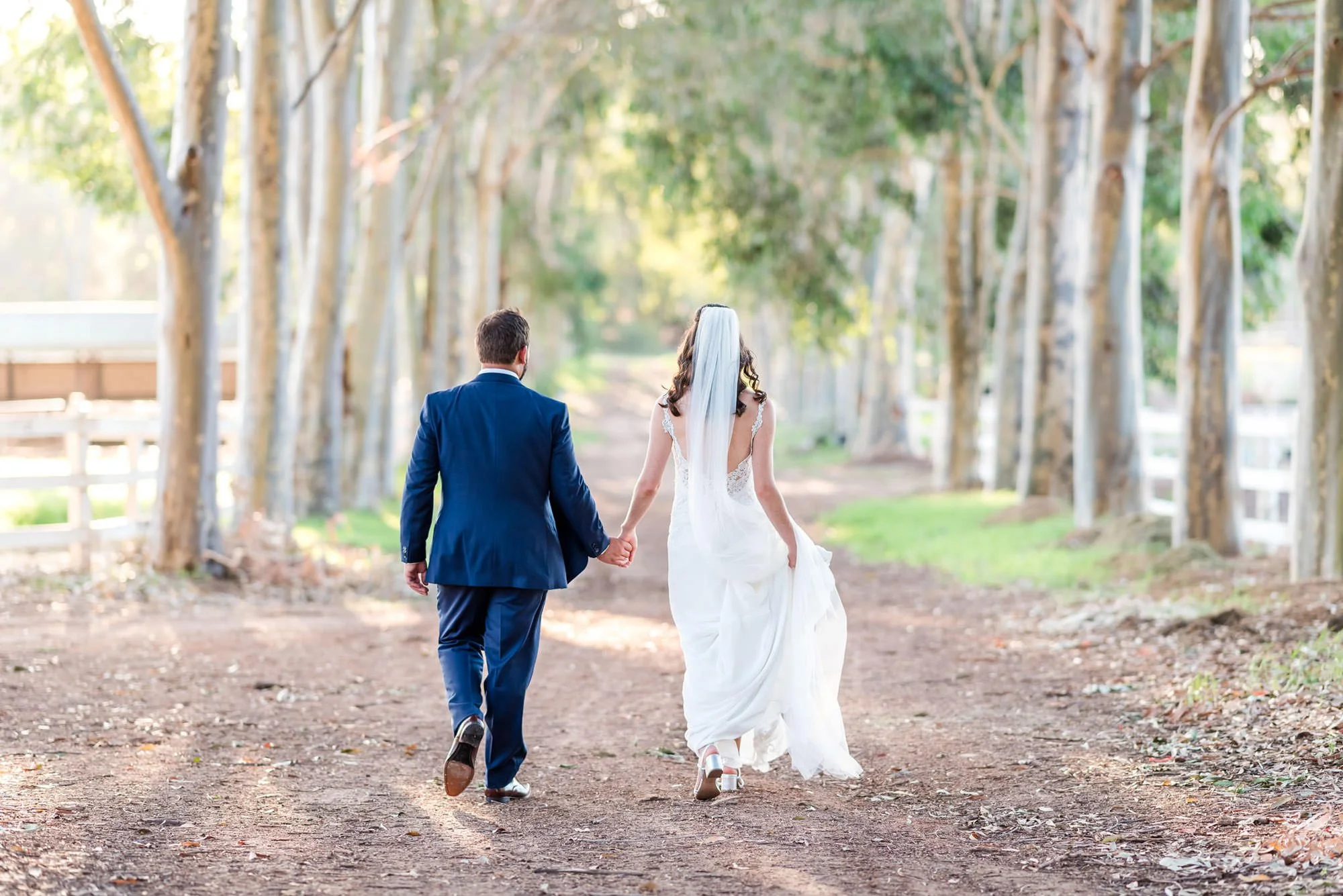 Brookleigh Estate Wedding Photo, Swan Valley - couple walking the treelined laneway.