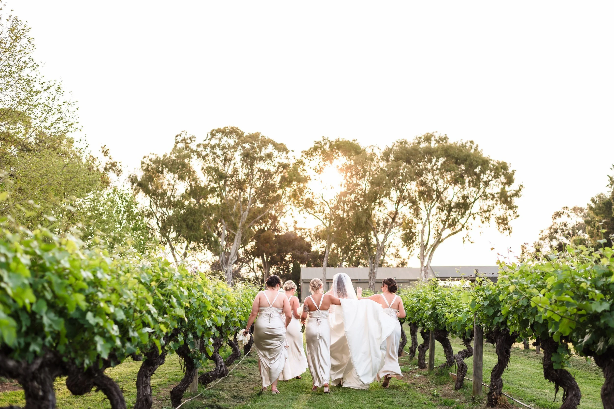 Candid moment in the vineyards at a Swan Valley wedding.