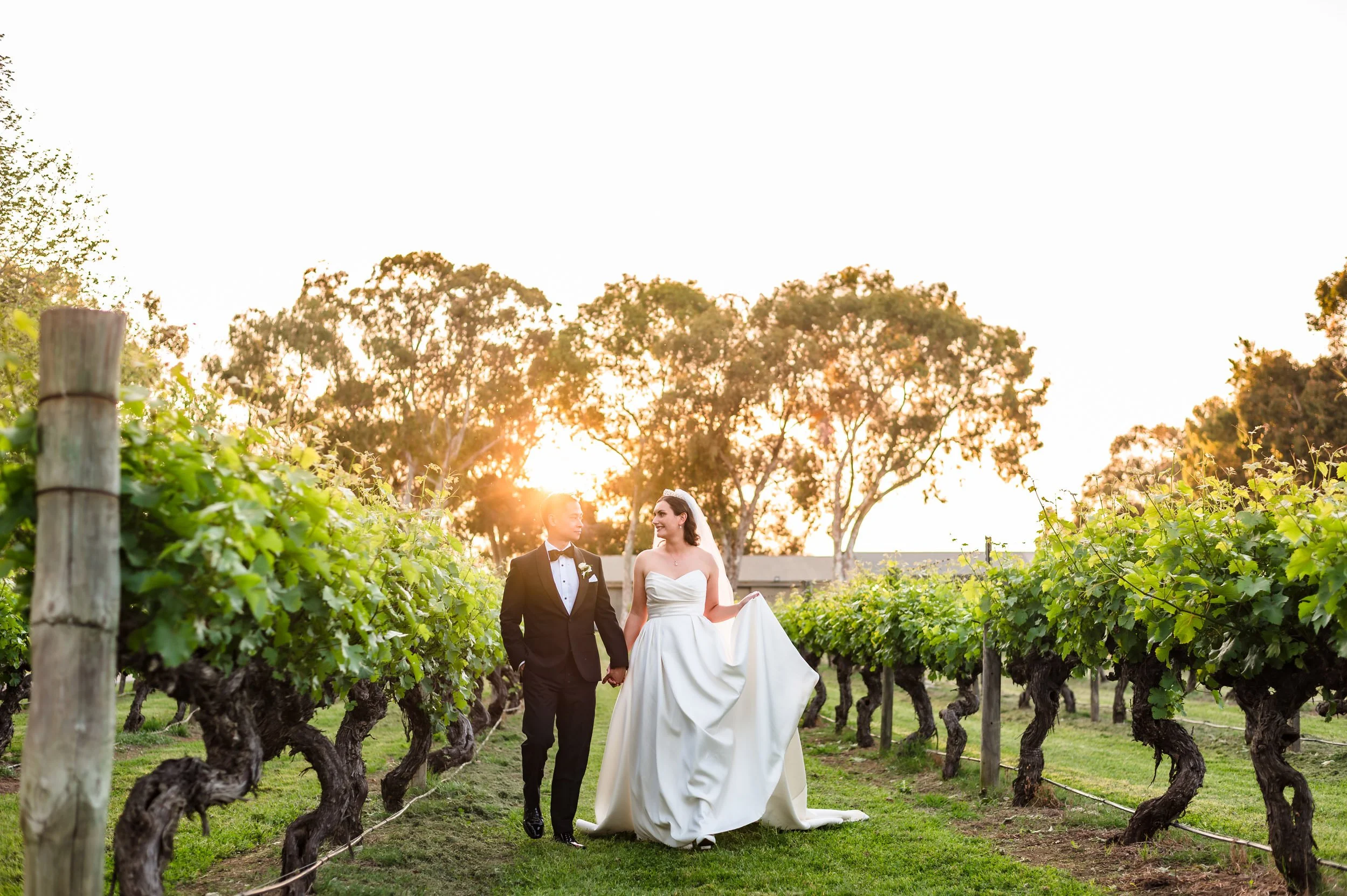Golden backlight wedding portrait in the vineyard at Sandalford Winery, Swan Valley, Perth.