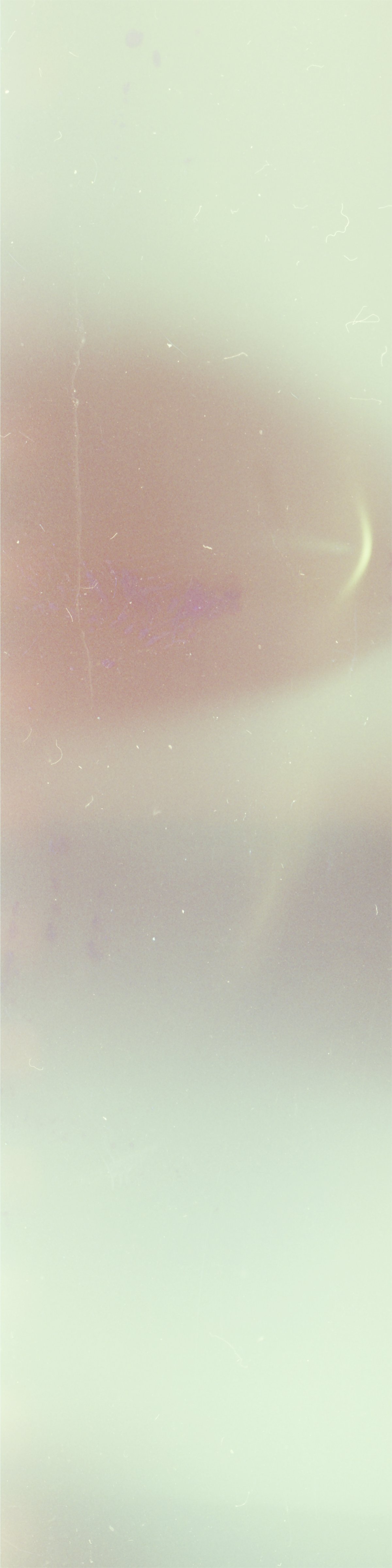 18_SummerArch_raw0011.jpg