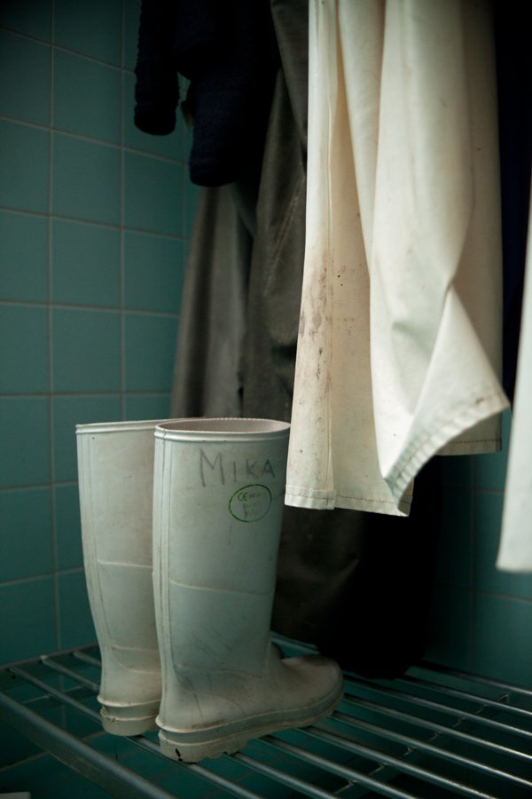 _MG_5150 as Smart Object-1.jpg