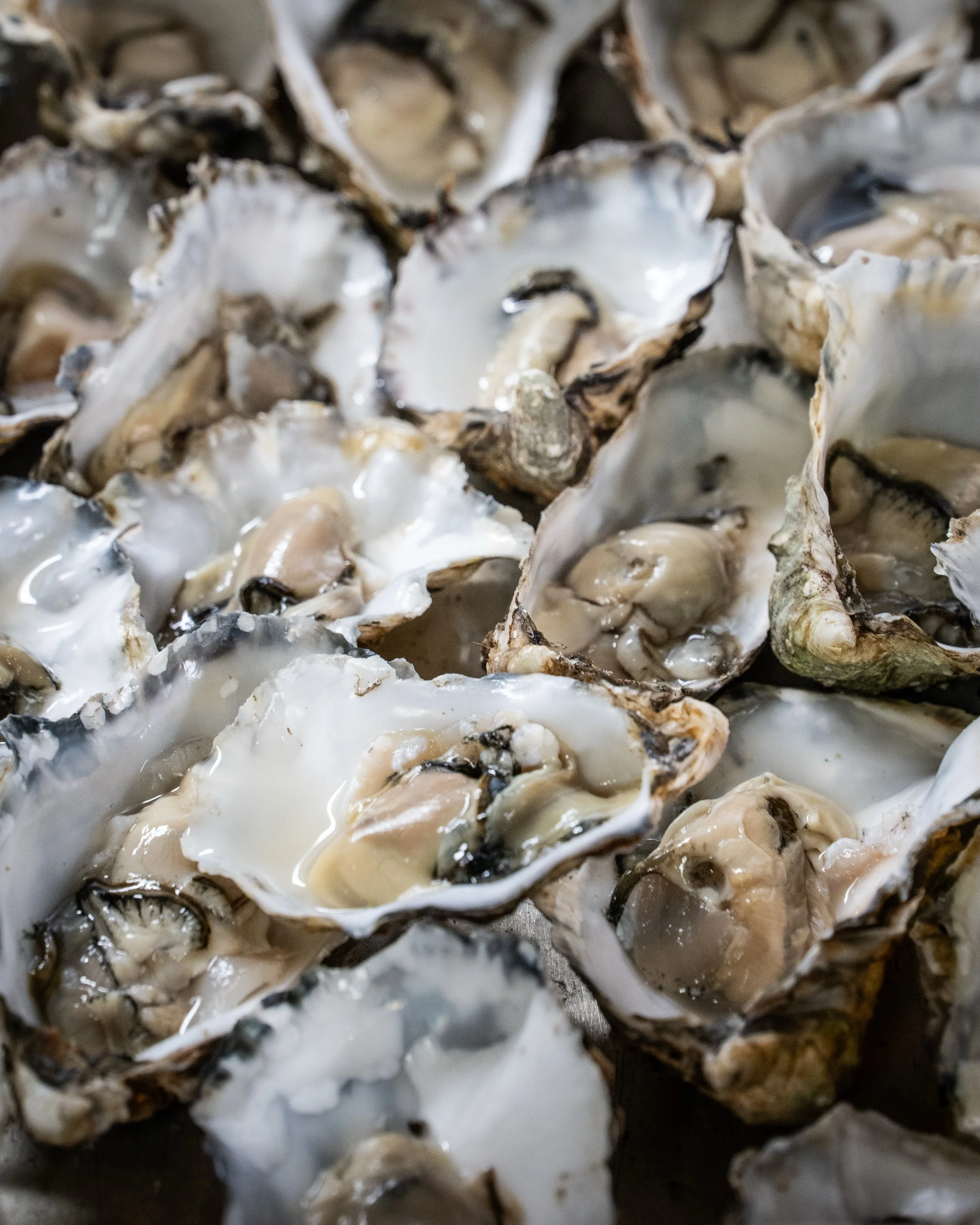 The weekend has officially arrived. 🥂

Whether you&rsquo;re joining us for Fish Friday or simply settling in for good food, good drinks and even better company, we&rsquo;ll see you at The Station. 

#framlingham #suffolk #suffolkpub #oysters #seafoo