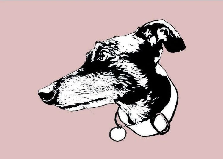 mouse-greeting-card-pink.jpg