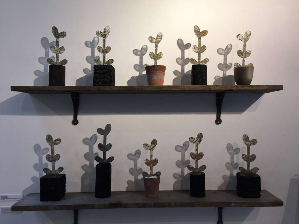 seedlings-on-shelves-sue-woolhouse.jpg