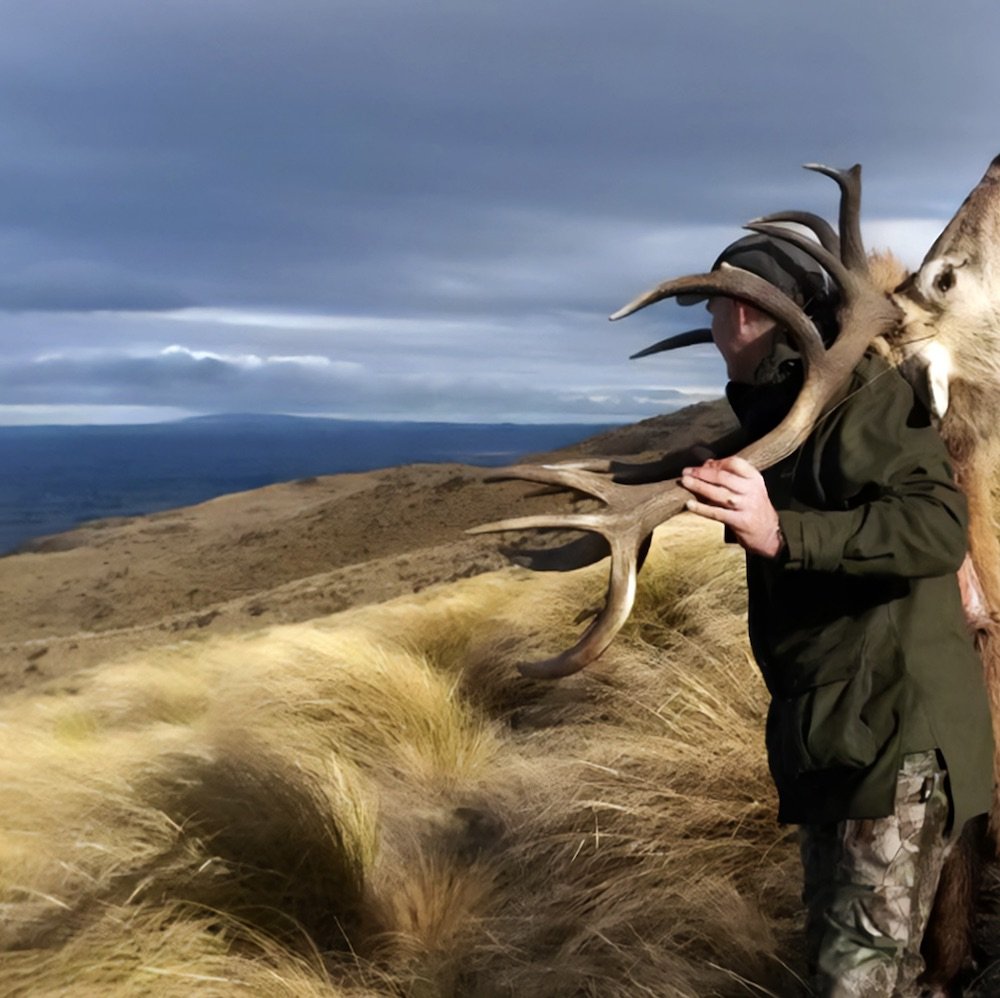 hunting-outfitters-new-zealand-south-island-red-stag-hunt-enhance.jpg