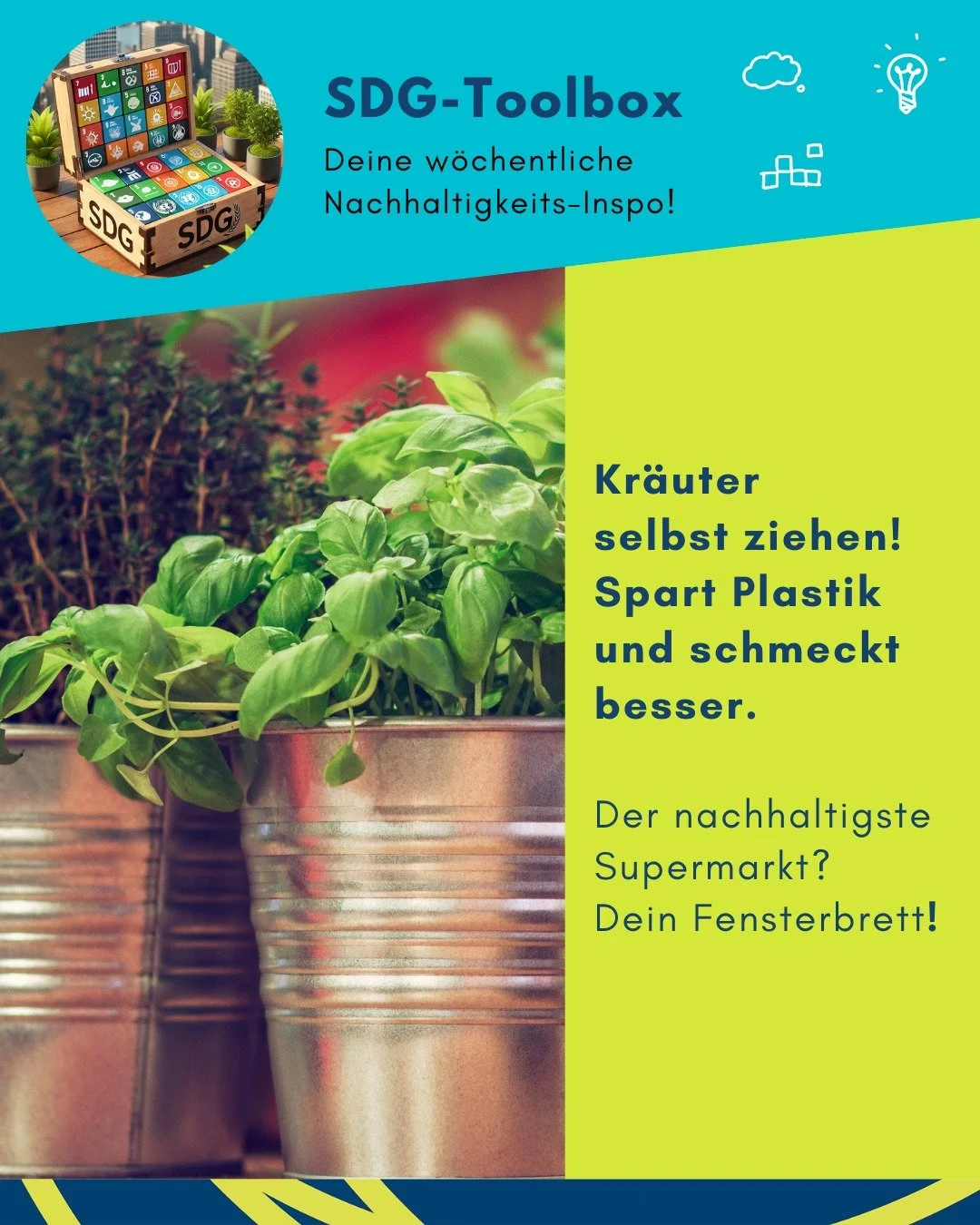 Diese Woche in unserer Toolbox: Kr&auml;uter selbst ziehen &ndash; spart Plastik und schmeckt besser 🔥
#toolboxderwoche #sdgscouts #essen #plastikfreiek&uuml;che #nachhaltigkeitimalltag #ressourcenschonen #umweltfreundlich