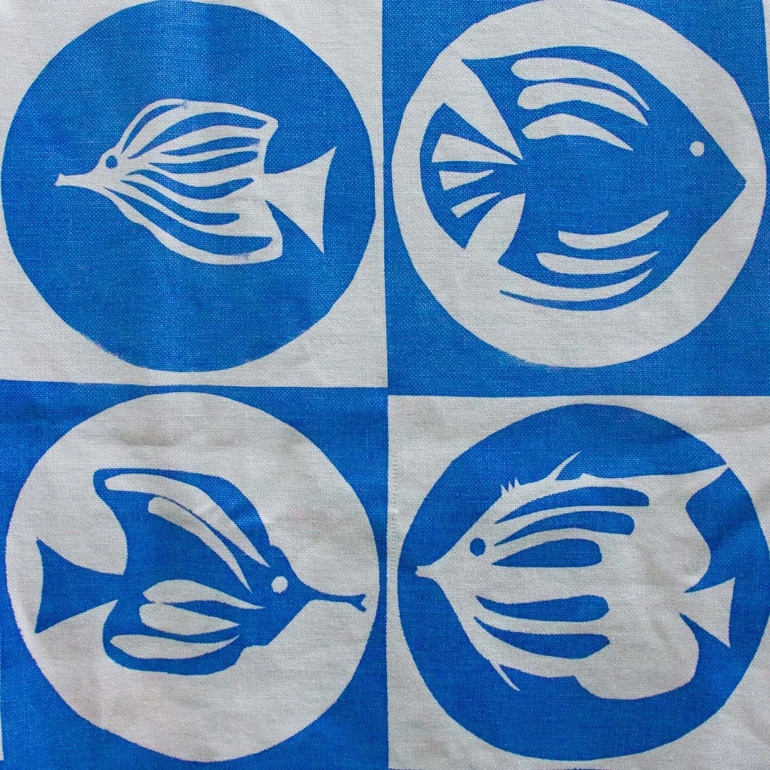 fish 3.JPG