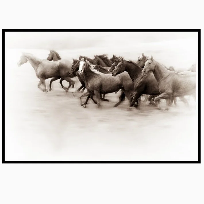 Debbie Rubin’s sepia horses on metal and framed 31x46 are even more striking in person. #cantlookaway 
#horse #wildhorses #equine #equestrian #sepia #photography #art #design #interiordesign #artcollector #photocollector #mirrorballgallery