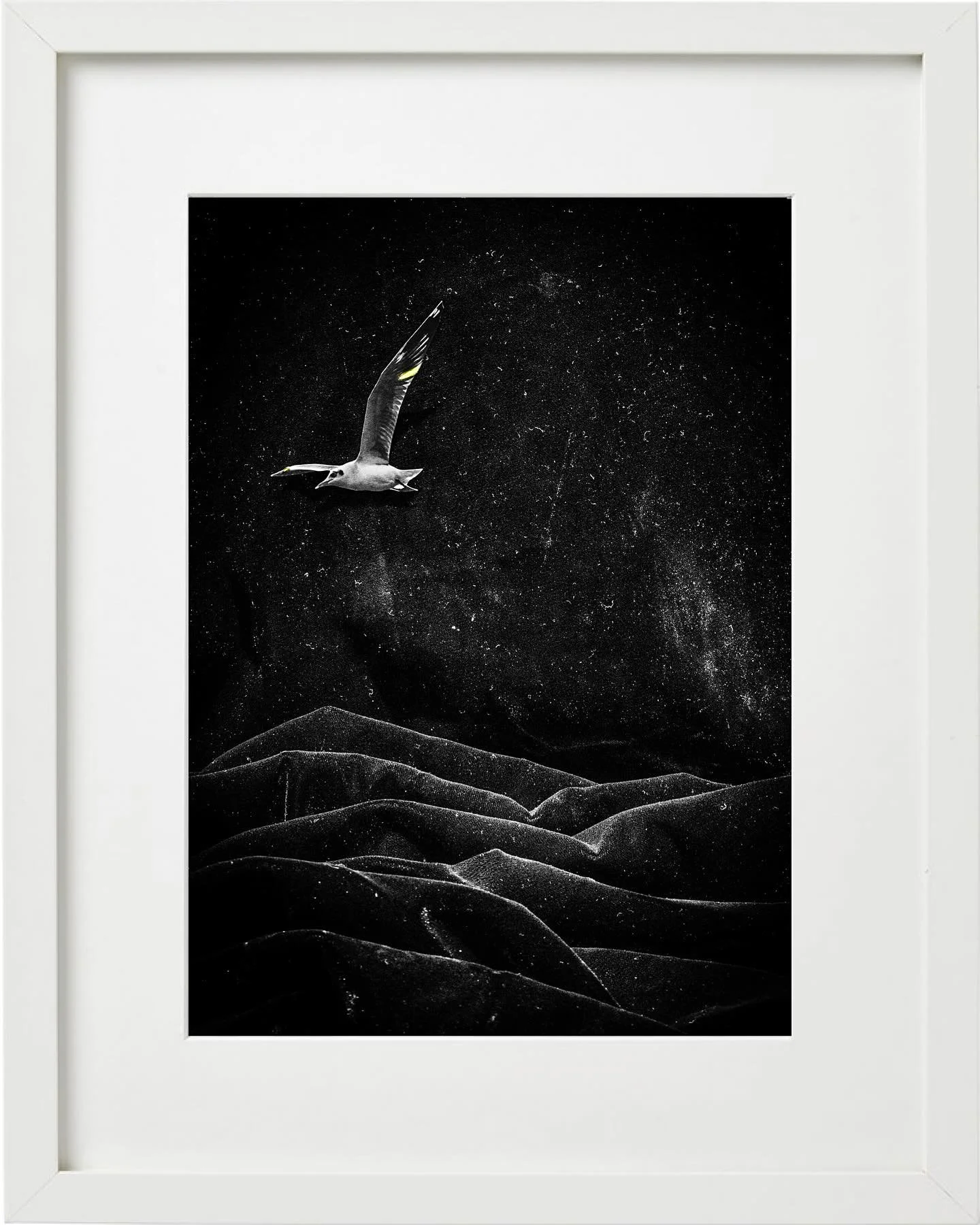 Soaring high with a touch of gold… “Rough Seas” by @mercedes_jelinek | Rich in content and texture, this photo series will swoop you up! 
#available #art #fineart #gold #photography #artcollector #photocollector #birds #gifts #nyc