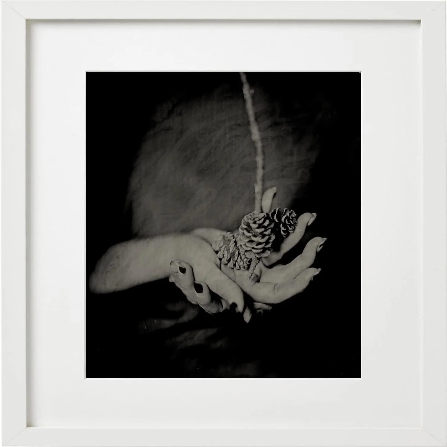 From the Life and Death series by @barefordphoto 
8x8” Ambrotype on Plexi Photographs in 15x15” Frames
Ambrotypes are wet plate collodion images, like tintypes, but exposed on a transparent medium.  The images are negative in nature unt