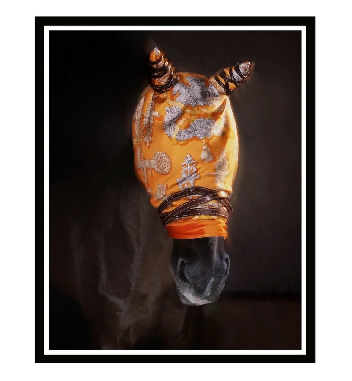 &ldquo;Tie Me Up&rdquo; by @monicastevensonstudio | 25x31 Framed. A truly exquisite,  photographic image for the stylish equine art collector and art and fashion lover. #MirrorballGallery 
DM for details. 

#equinephotography #fineart #hermes #fashio