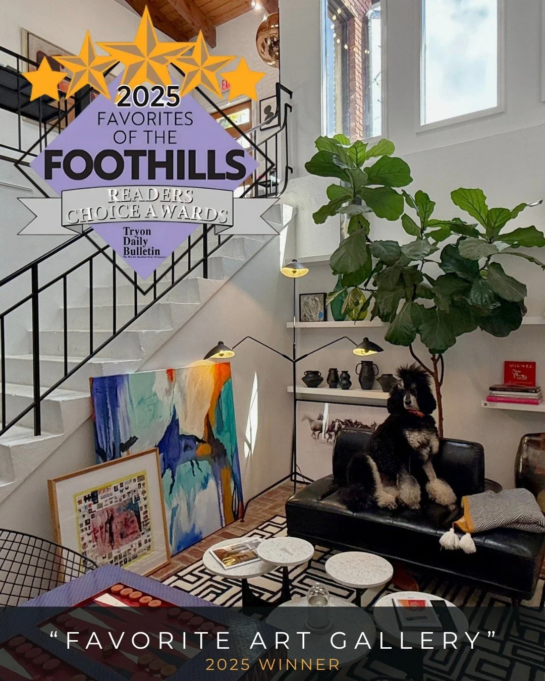 Nominations for the "Favorites of the Foothills" are NOW OPEN. Voting begins June 8 through July 31st. Nominate @mirrorballgallery for "Favorite Art Gallery" and other fav businesses in the area. 
Link to NOMINATE in IG bio site:
