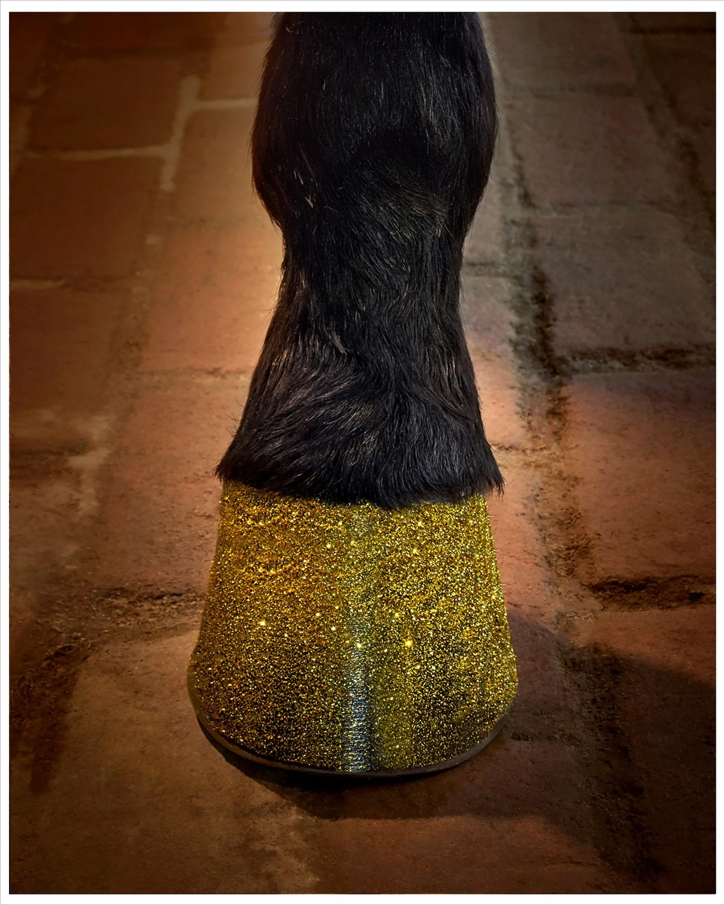 A little ✨ for the #kentuckyderby 
work by @monicastevensonstudio 
#mirrorballgallery #equestrianphoto #photography #art