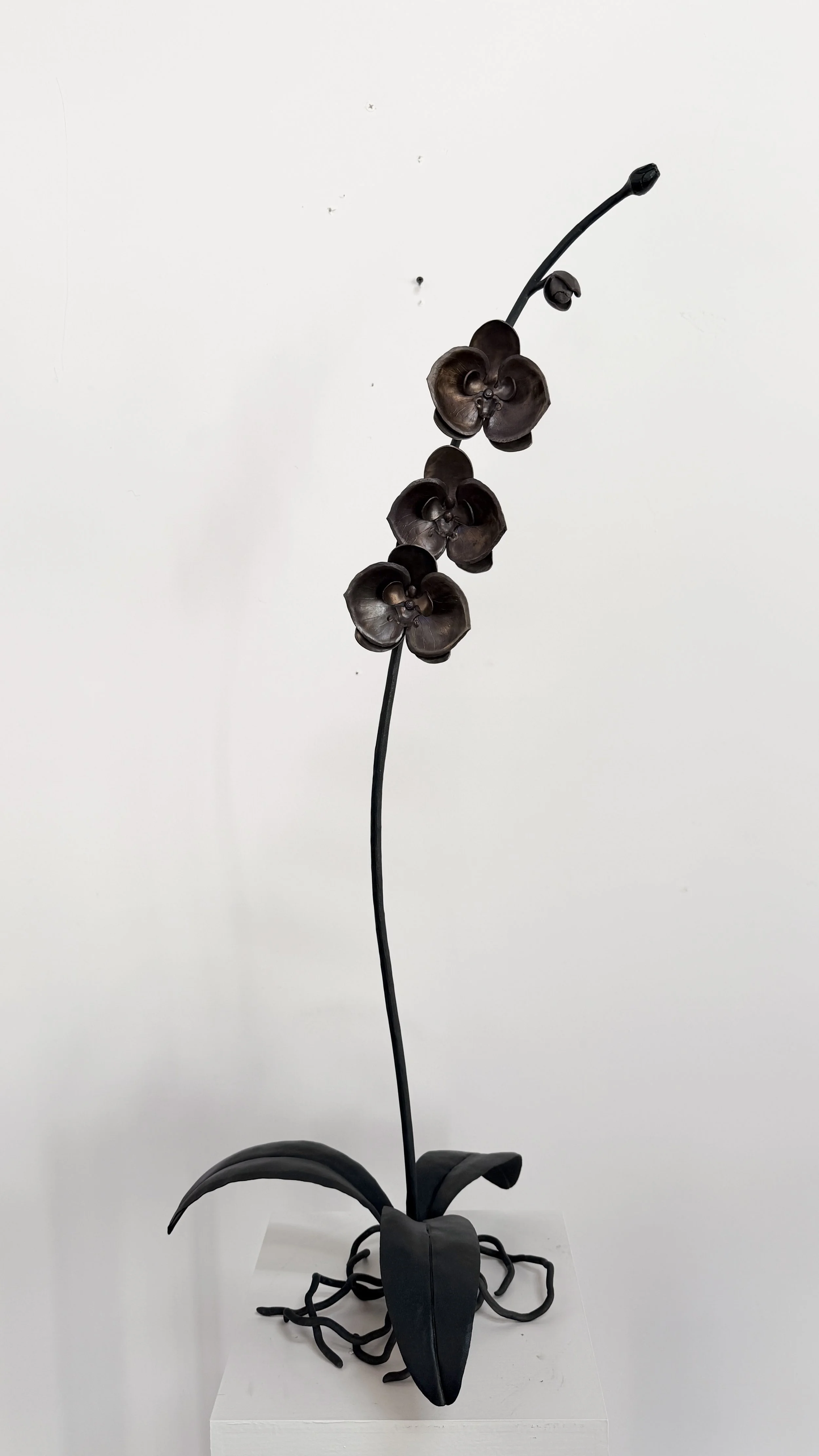 James Cooper Iron Steel Orchid Sculpture