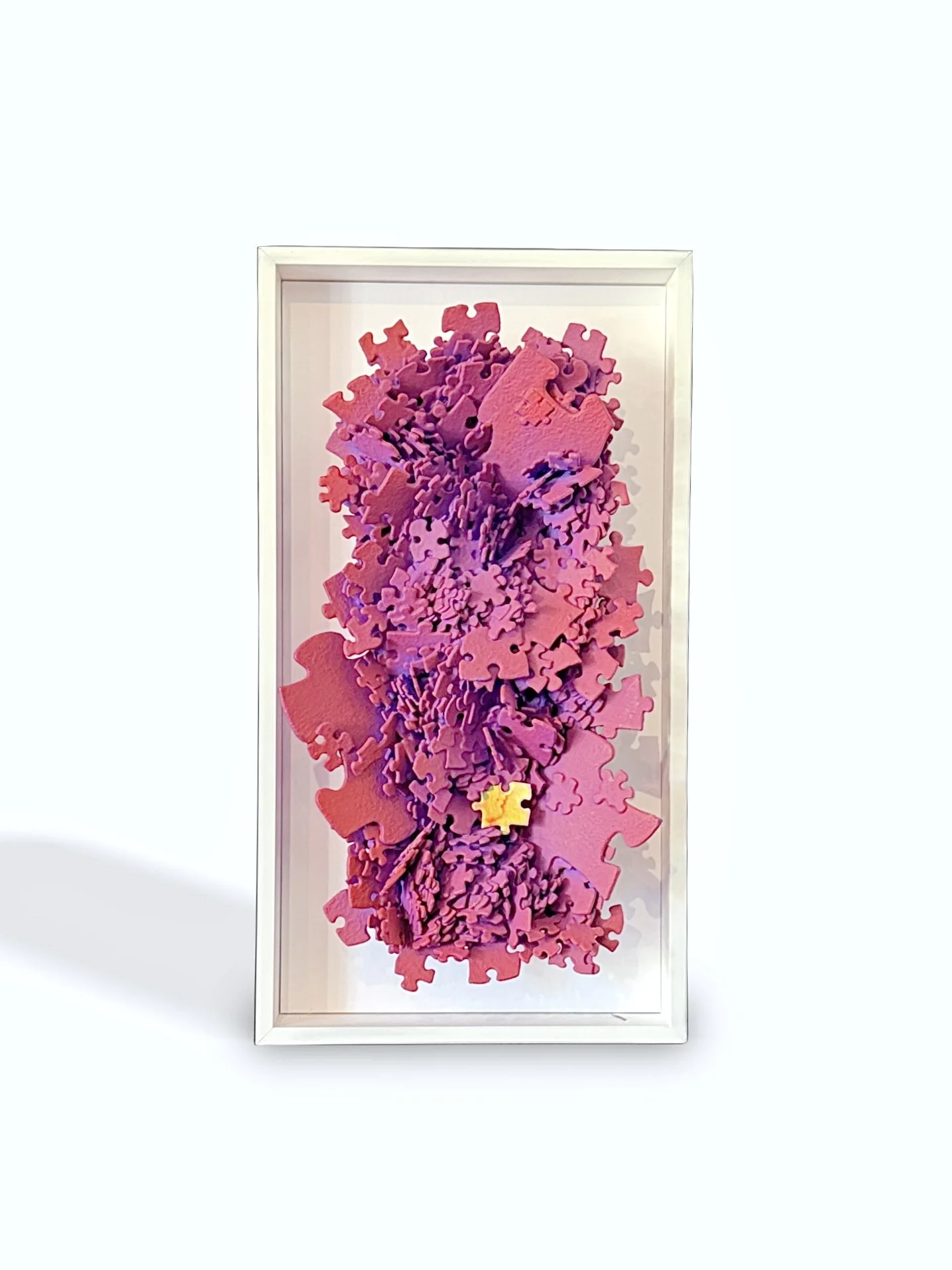 Jeffrey Wilcox Paclipan "Life in Fuchsia'