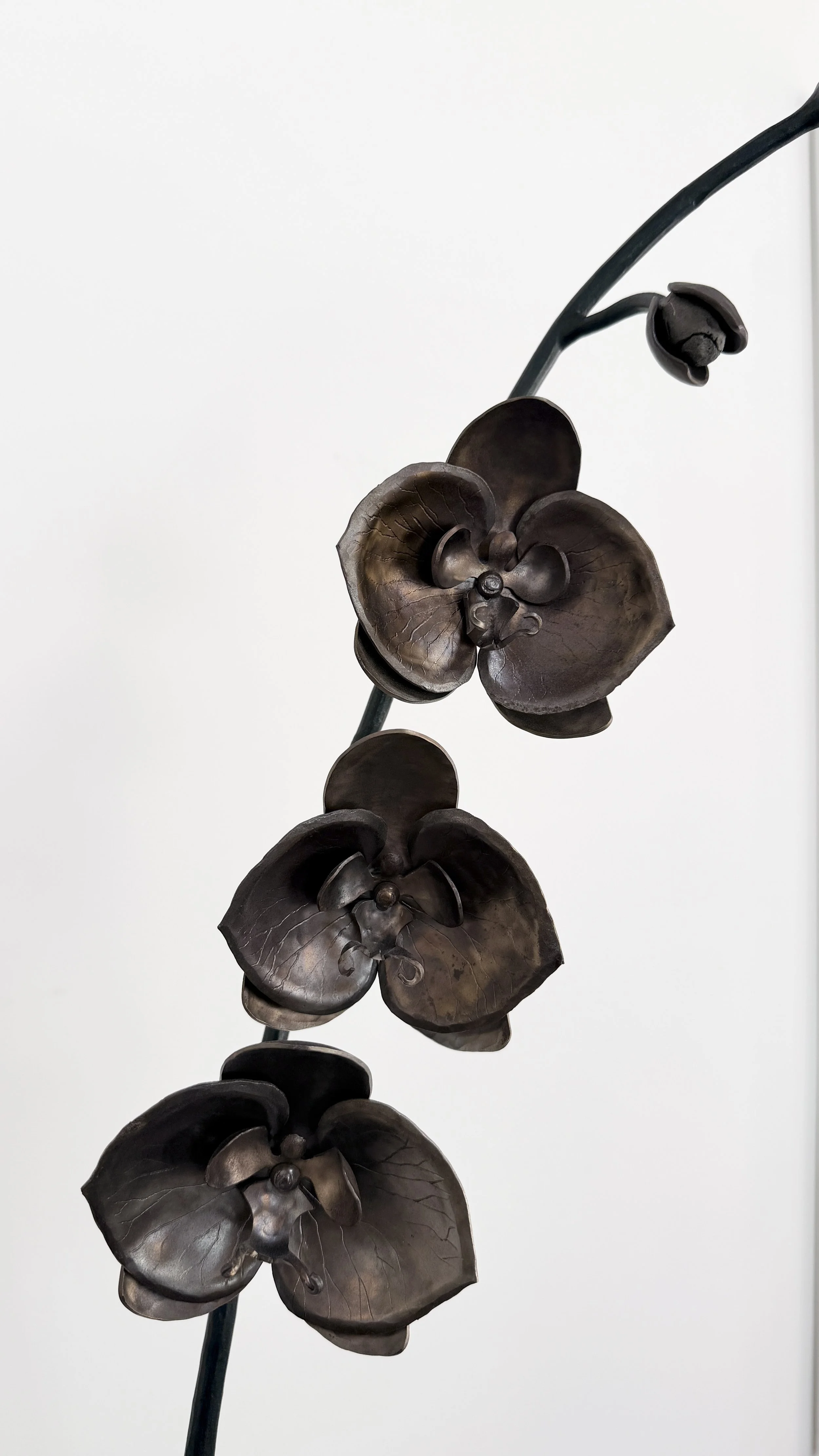 James Cooper Iron Steel Orchid Sculpture