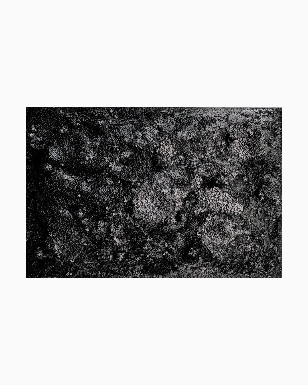 Jeffrey Wilcox Paclipan "Deep Sea Pearl Dive"