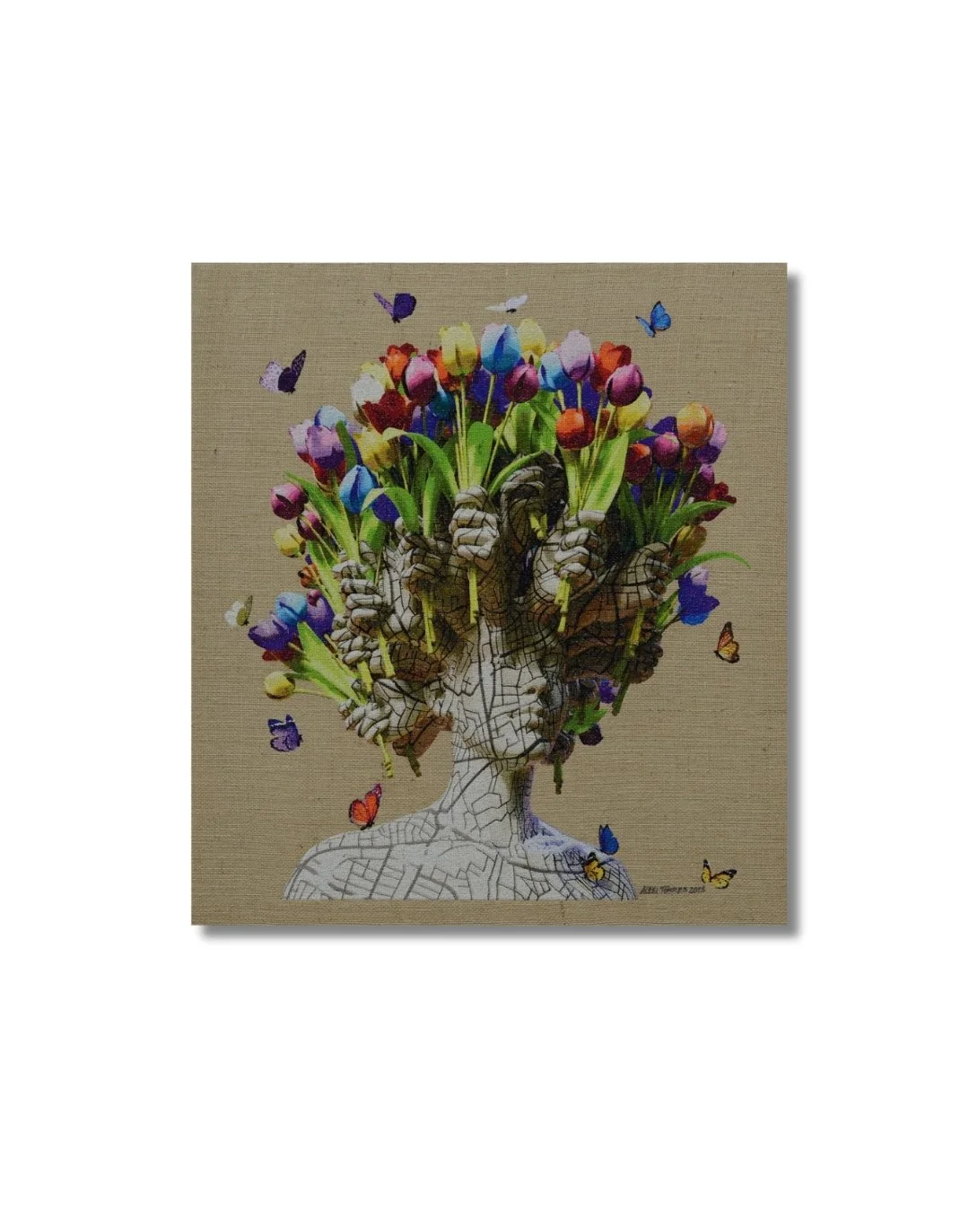 Alexi Torres "City Garden XI"