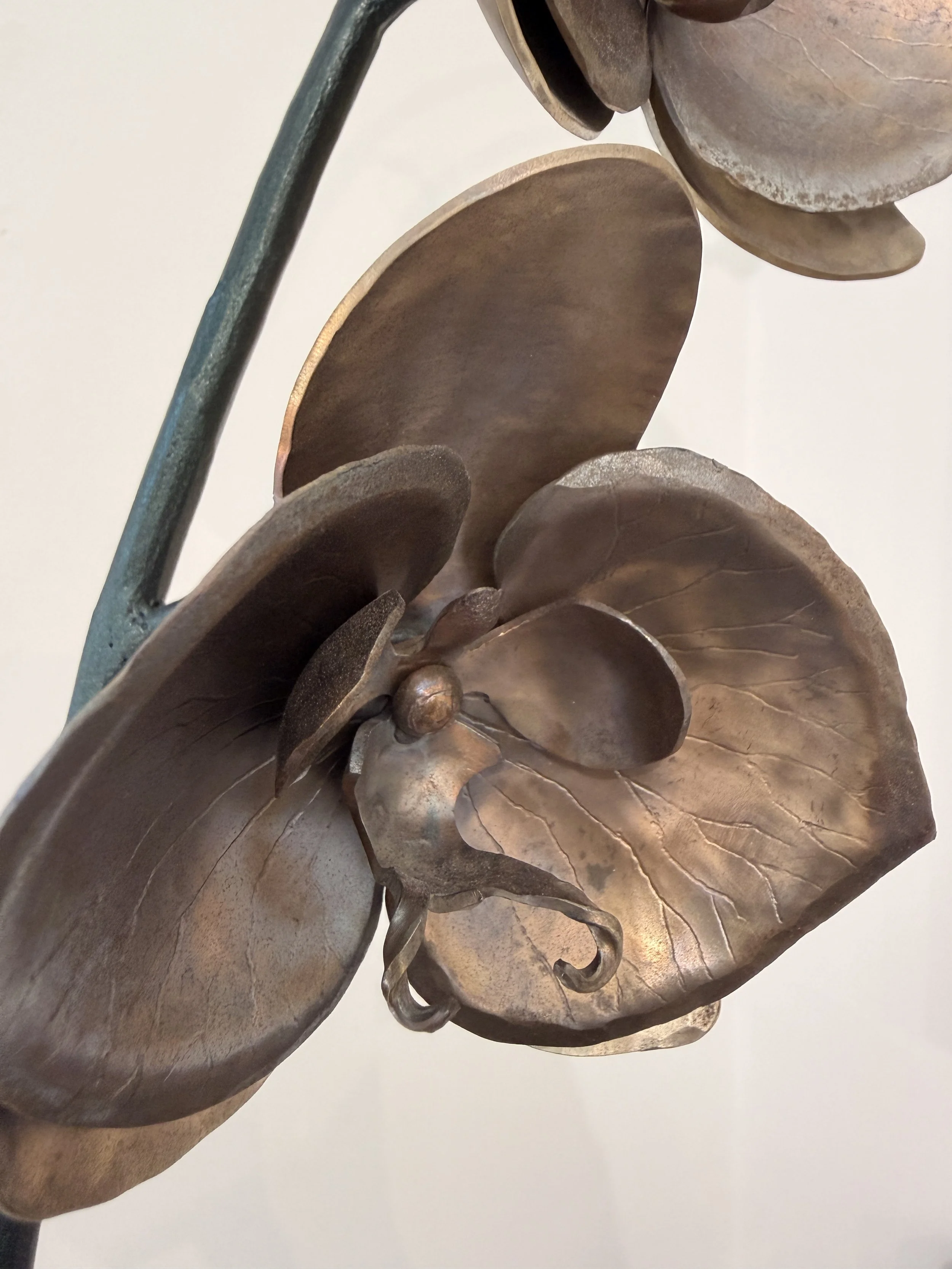 James Cooper Iron Steel Orchid Sculpture