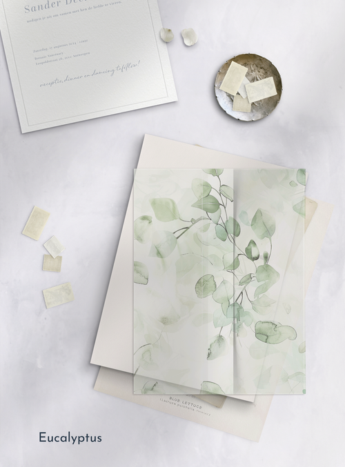 vellum eucalyptus