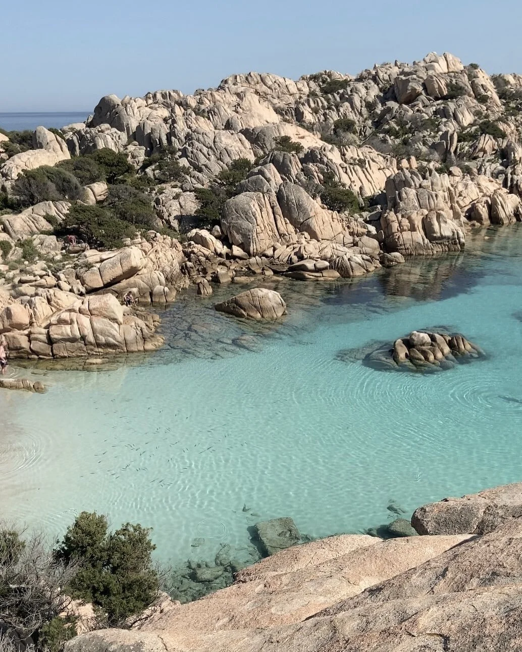 Paradiso