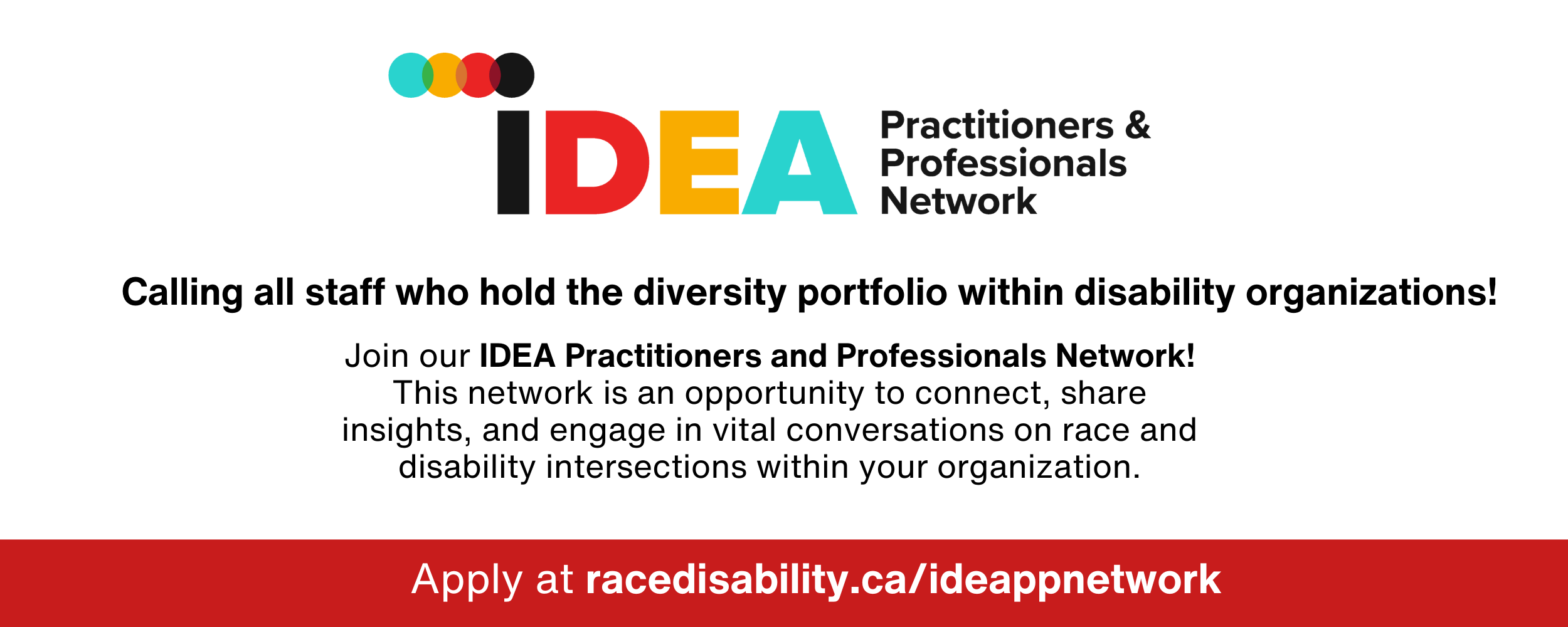 IDEA PP Network banner.png