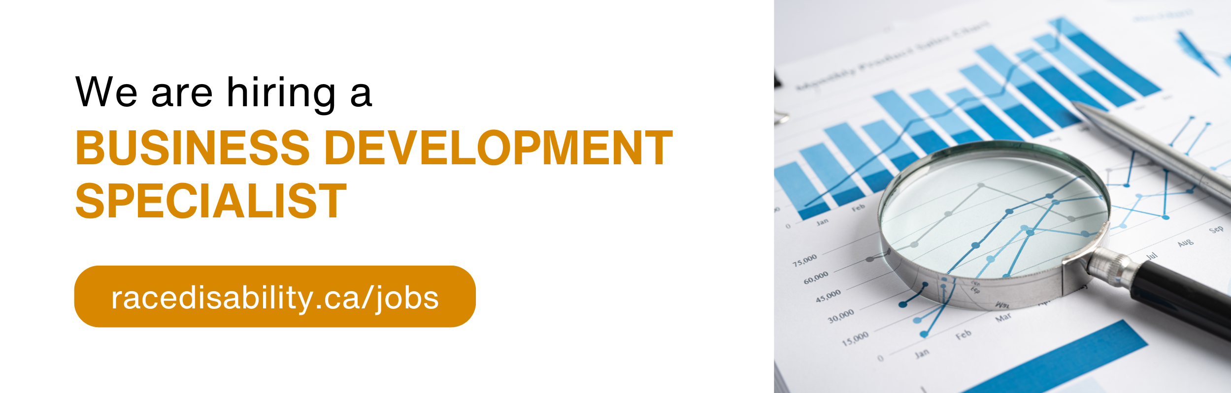 Text reads: "We are hiring a Business Development Specialist racedisability.ca/jobs"