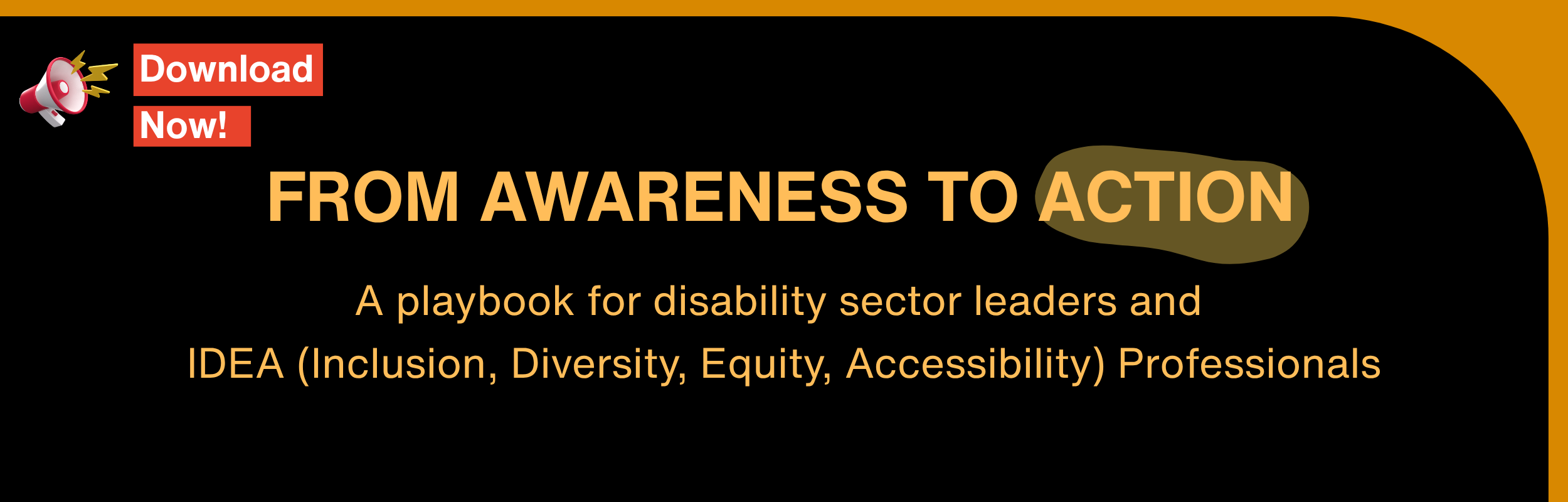 Black web banner with bold orange text reads 'FROM AWARENESS TO ACTION' as the headline, with subtitle text below: 'A playbook for disability sector leaders and IDEA (Inclusion, Diversity, Equity, Accessibility) Professionals.' 