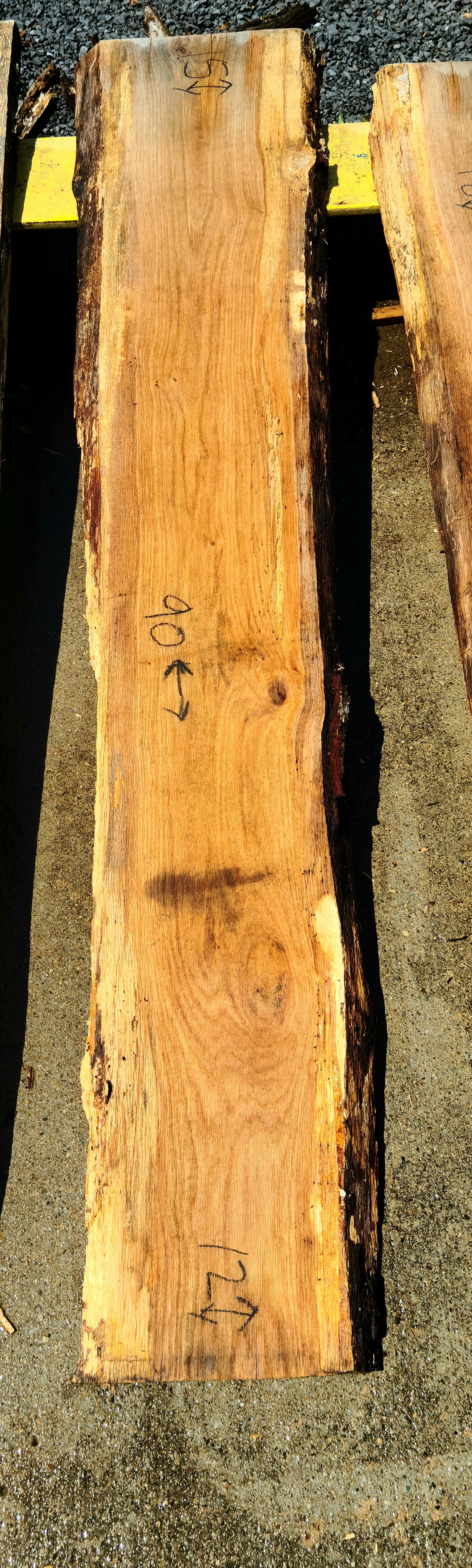Red Oak Slab 1021 Log 1