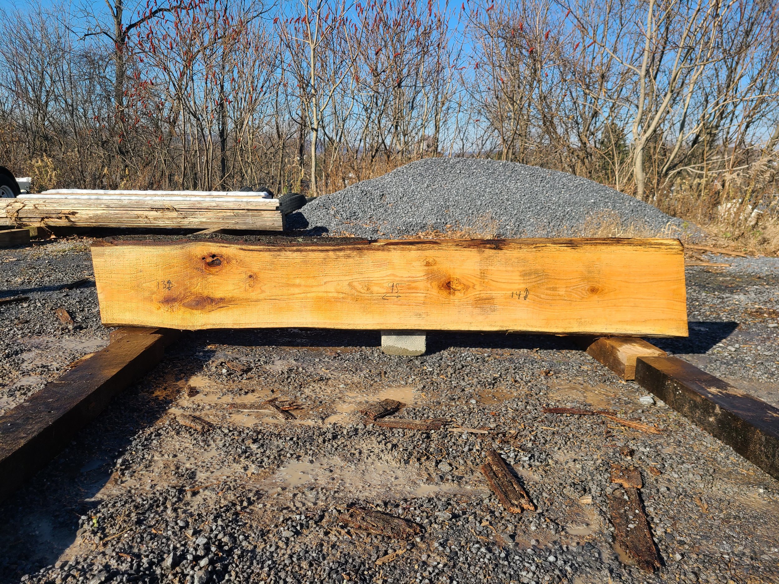 Red Oak Slab 1094 Log 2