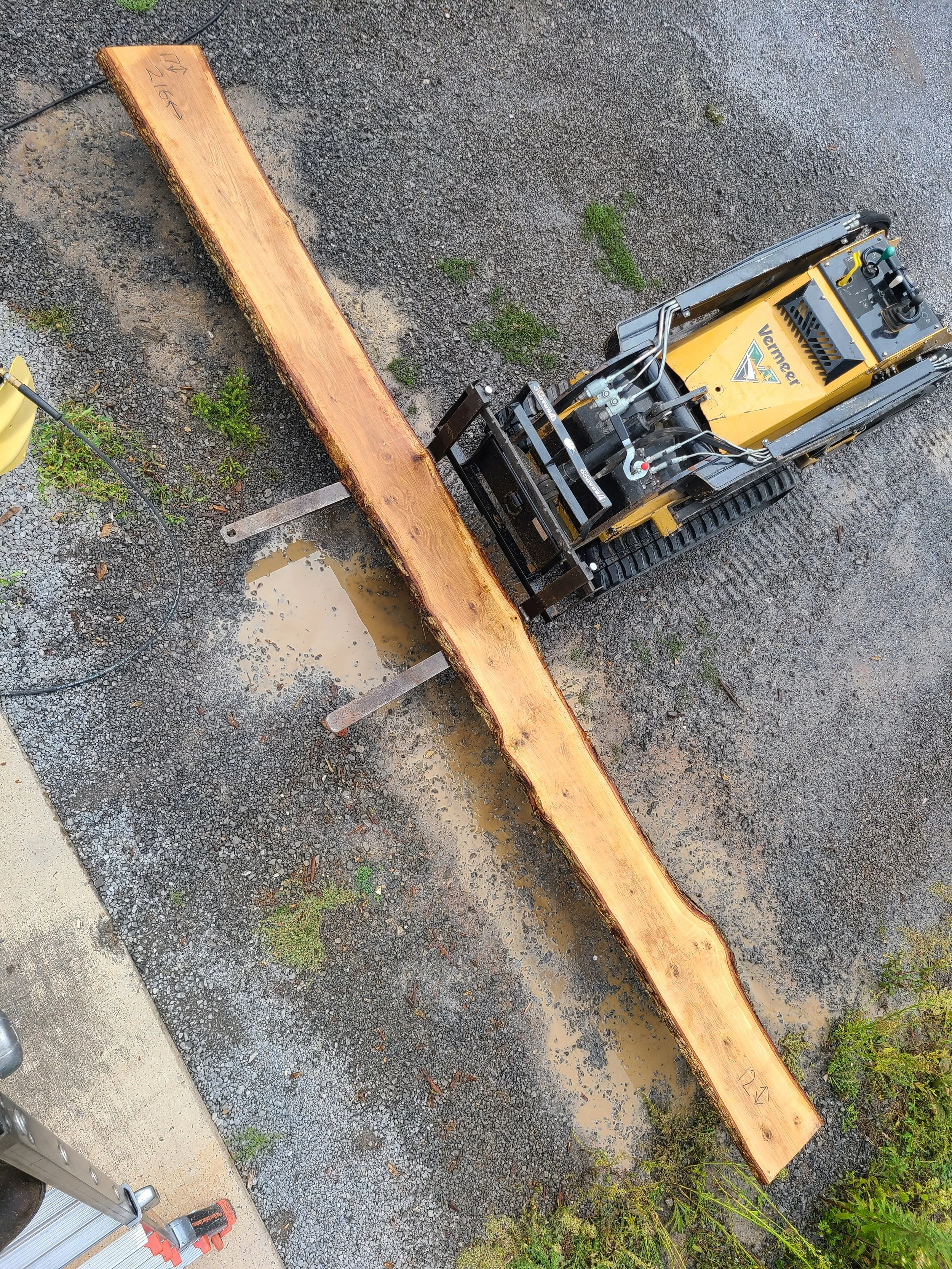 White Oak Slab 1043 Log 2
