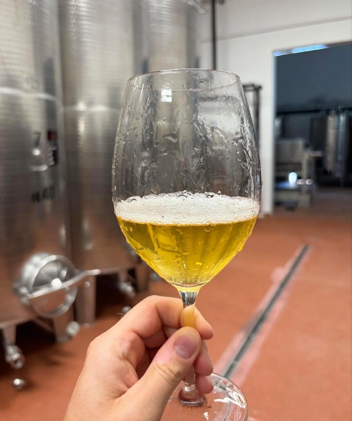 New orange wine incoming from our friends @attimo_craft_winery. Here&rsquo;s co-founder Morris Carr with the teaser&hellip; 

&ldquo;Behind the scenes of creating our orange wine - Weeks of skin contact, experimenting with oak, and learning every det