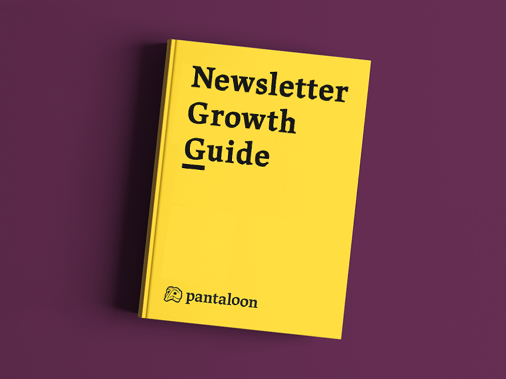 Newsletter Growth Guide