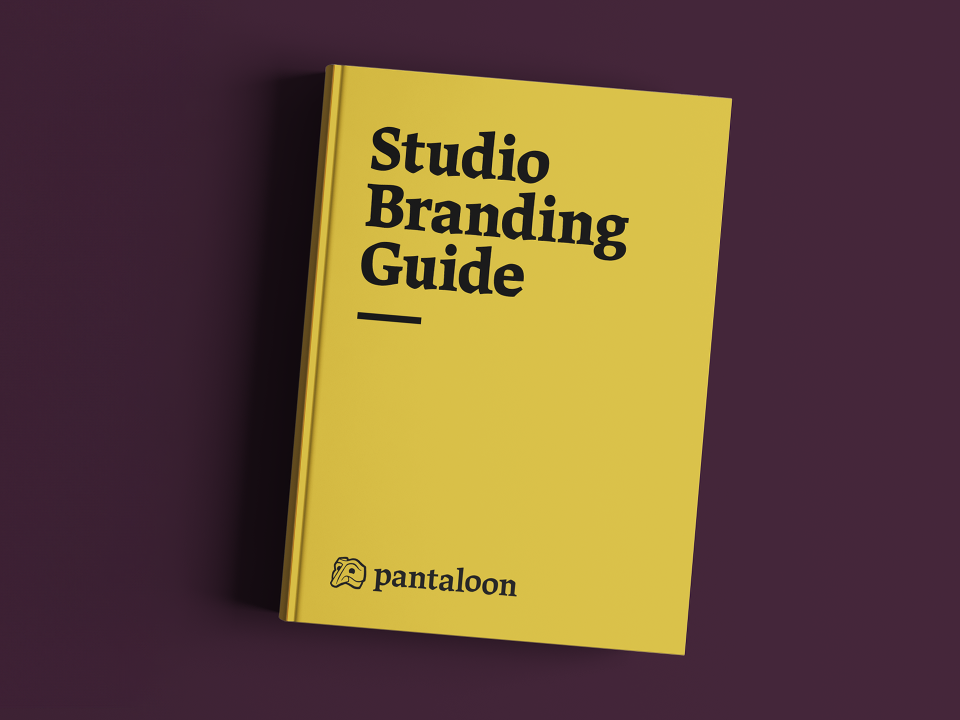 Studio Branding Guide