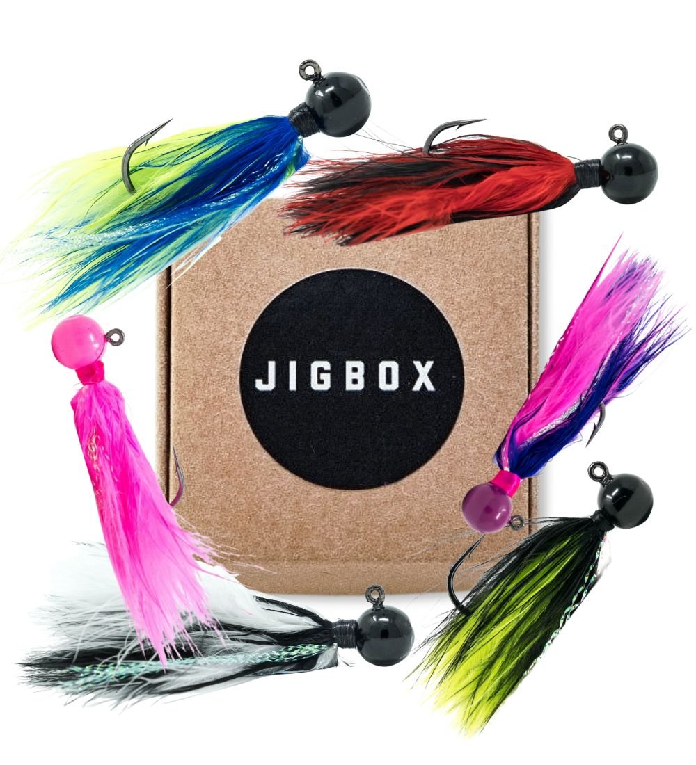 THE JIGBOX JUMBO (20PK) — Jigbox
