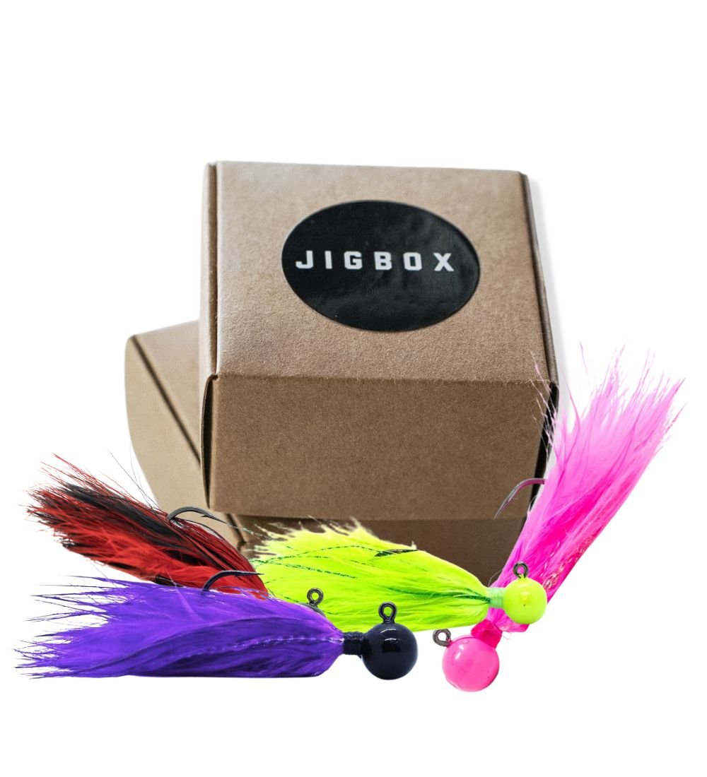 THE JIGBOX GIANT (100PK) — Jigbox
