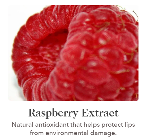 lip 4.png
